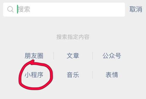 今日最新爆料小程序,小程序背后的秘密与趋势