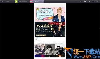 迪拜爆料新闻视频最新版,揭秘神秘事件背后的真相